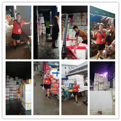 首页| 402cc永利集团中国区官方网站