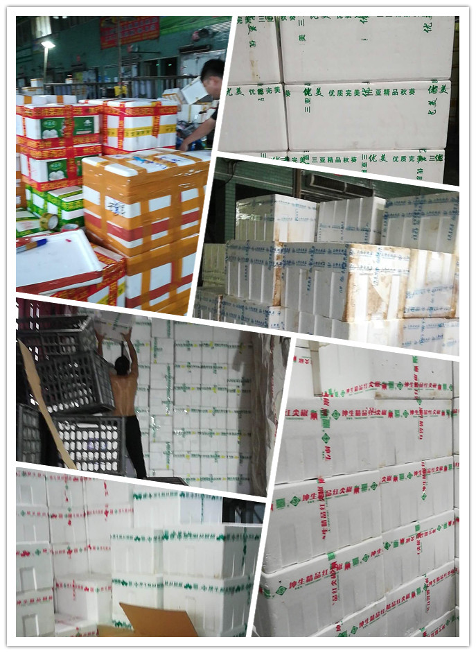 首页| 402cc永利集团中国区官方网站