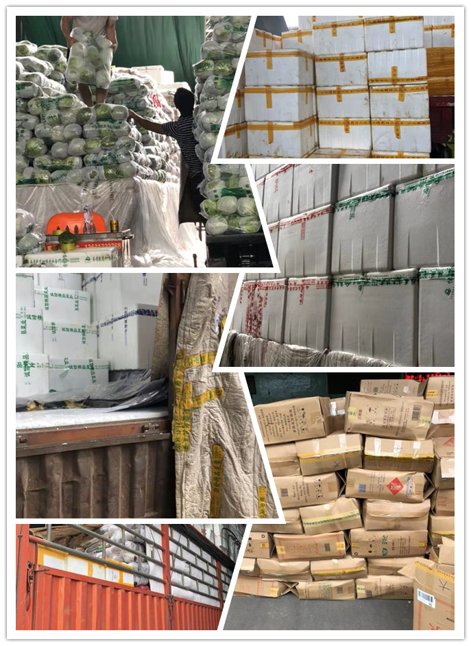 首页| 402cc永利集团中国区官方网站