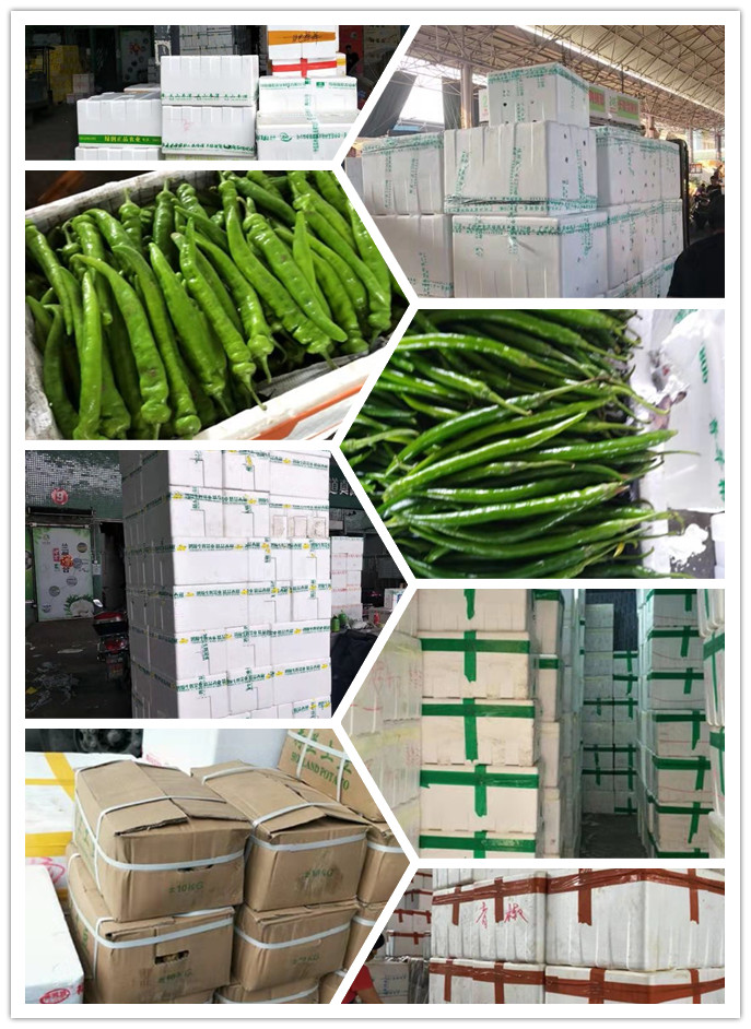 首页| 402cc永利集团中国区官方网站