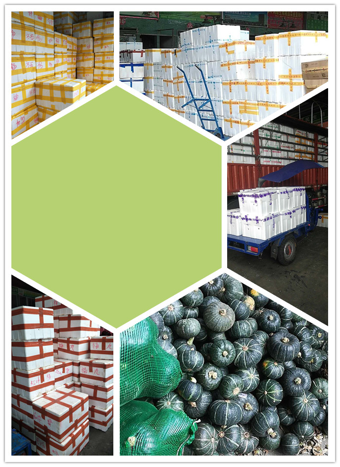 首页| 402cc永利集团中国区官方网站