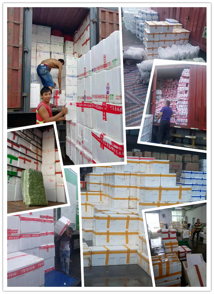 首页| 402cc永利集团中国区官方网站