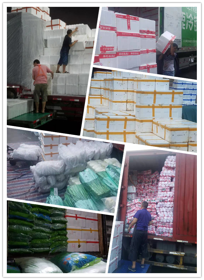 首页| 402cc永利集团中国区官方网站