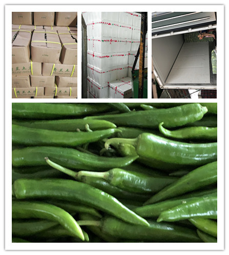 首页| 402cc永利集团中国区官方网站