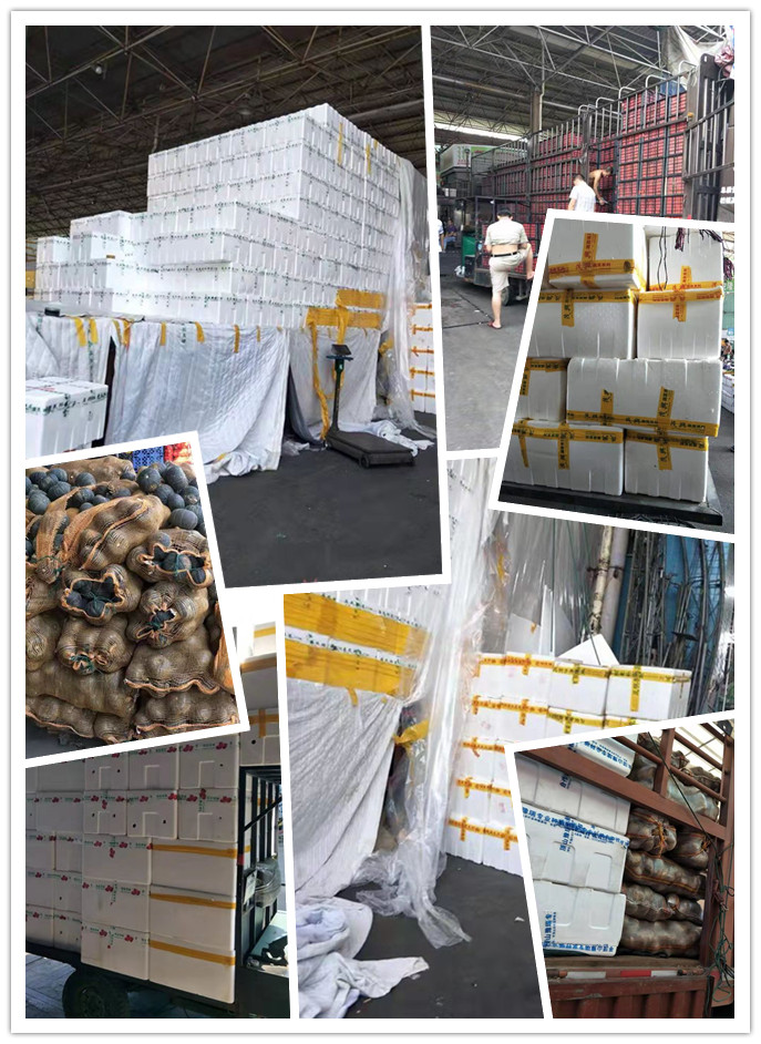 首页| 402cc永利集团中国区官方网站