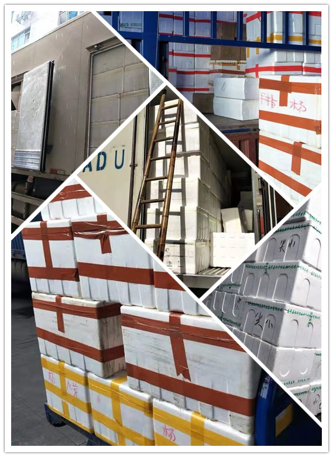 首页| 402cc永利集团中国区官方网站