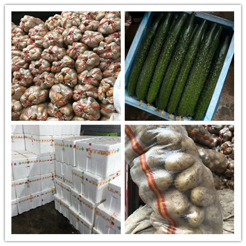 首页| 402cc永利集团中国区官方网站