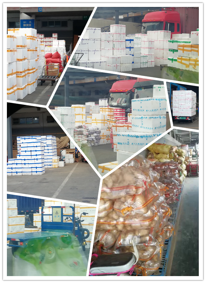 首页| 402cc永利集团中国区官方网站