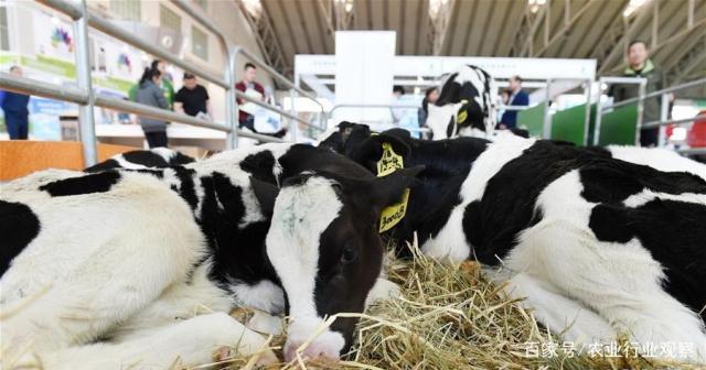 首页| 402cc永利集团中国区官方网站