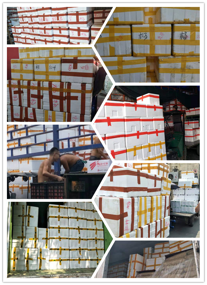 首页| 402cc永利集团中国区官方网站