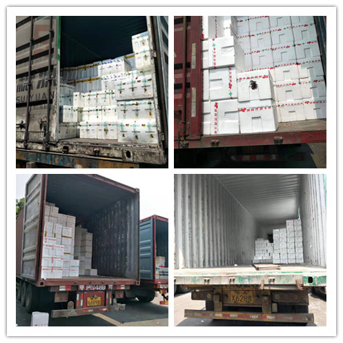 首页| 402cc永利集团中国区官方网站