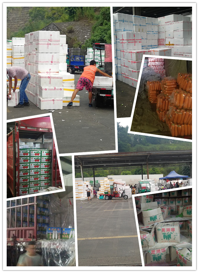 首页| 402cc永利集团中国区官方网站