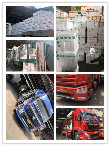 首页| 402cc永利集团中国区官方网站