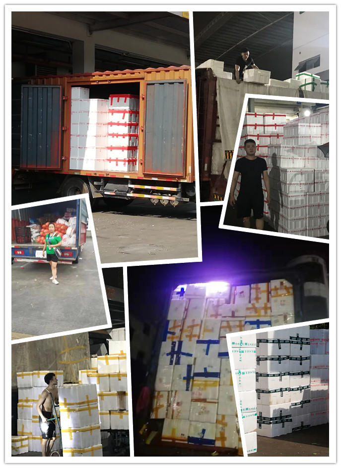 首页| 402cc永利集团中国区官方网站