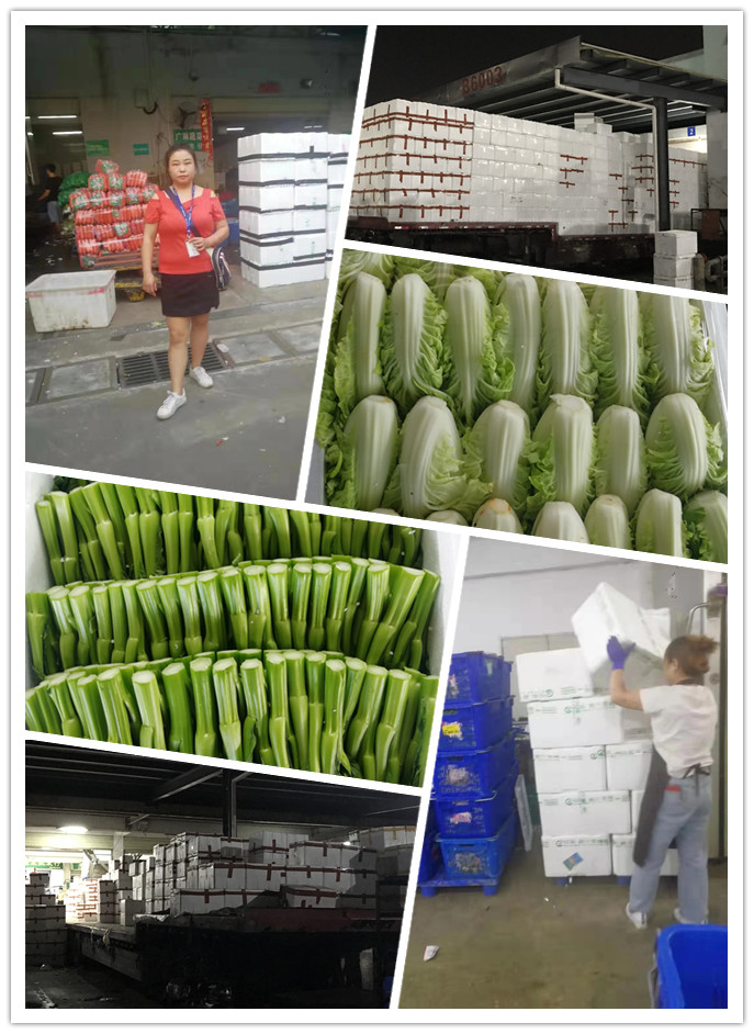 首页| 402cc永利集团中国区官方网站