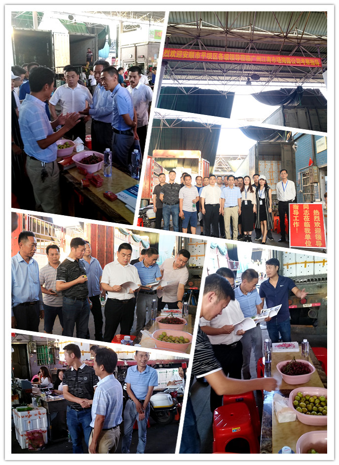 首页| 402cc永利集团中国区官方网站