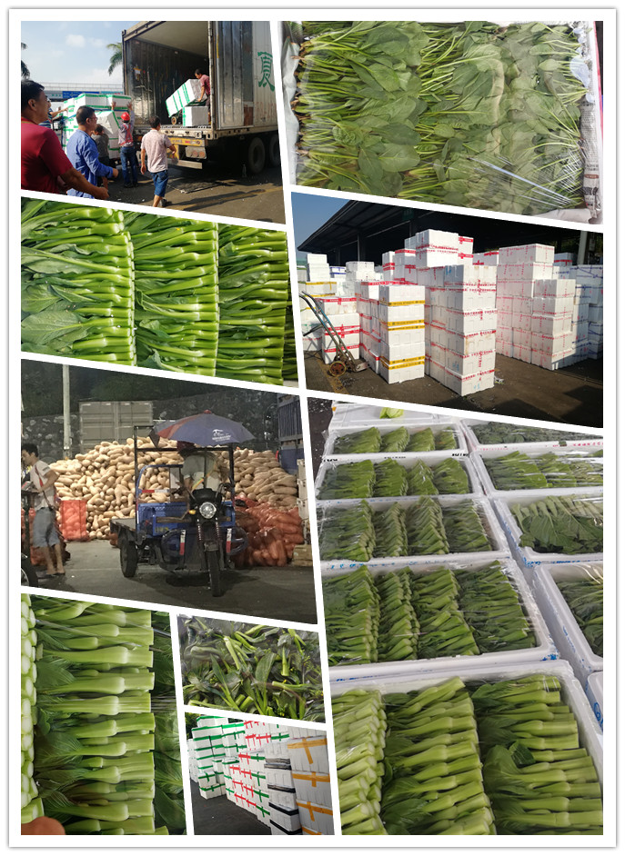 首页| 402cc永利集团中国区官方网站