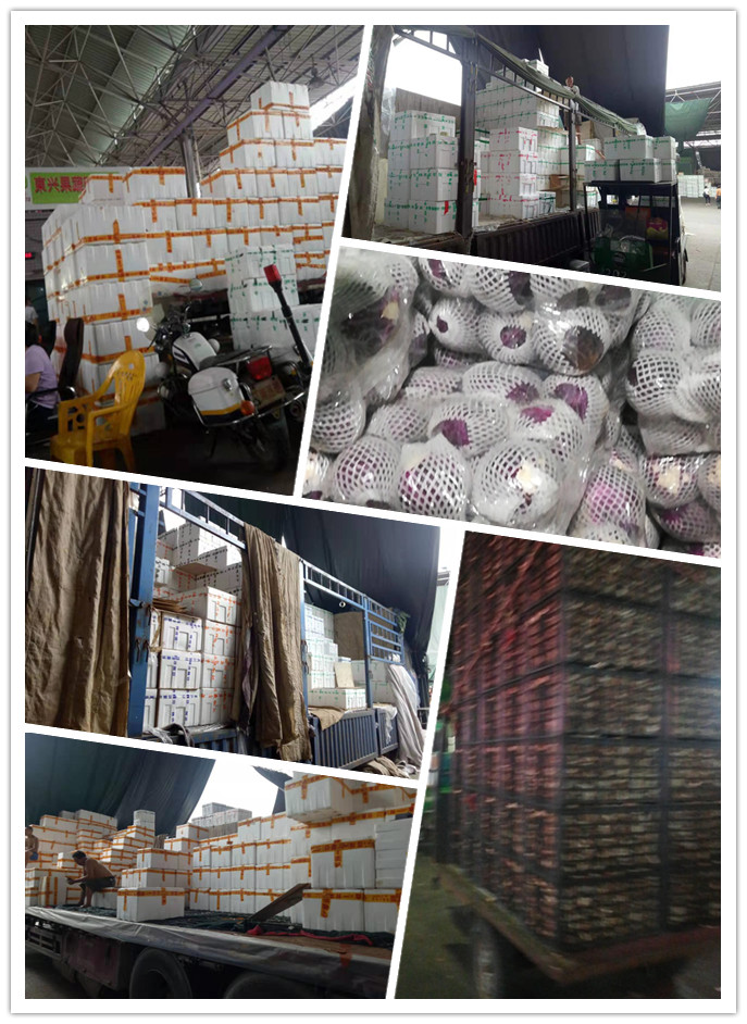 首页| 402cc永利集团中国区官方网站