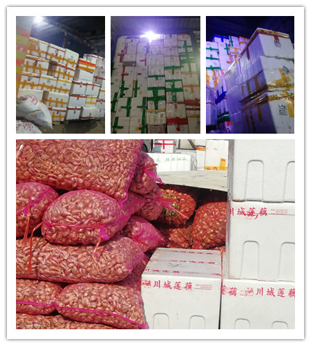 首页| 402cc永利集团中国区官方网站