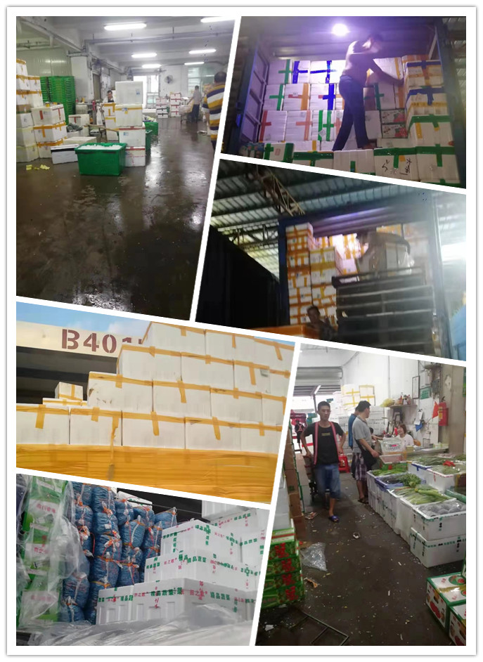 首页| 402cc永利集团中国区官方网站