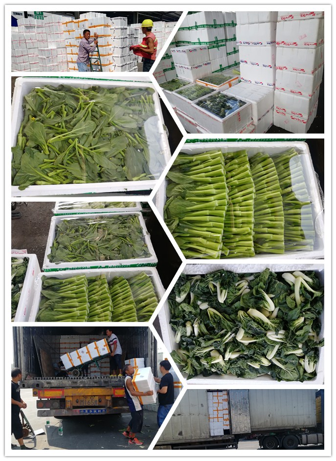 首页| 402cc永利集团中国区官方网站