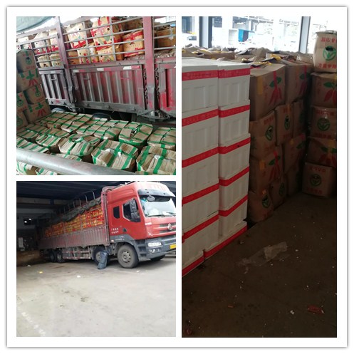 首页| 402cc永利集团中国区官方网站