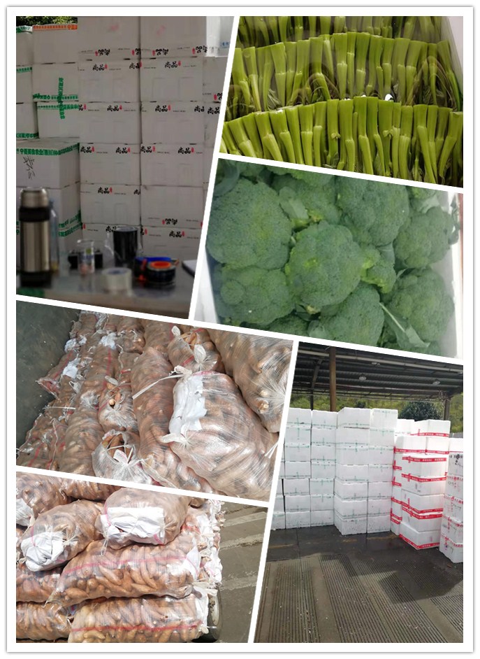 首页| 402cc永利集团中国区官方网站