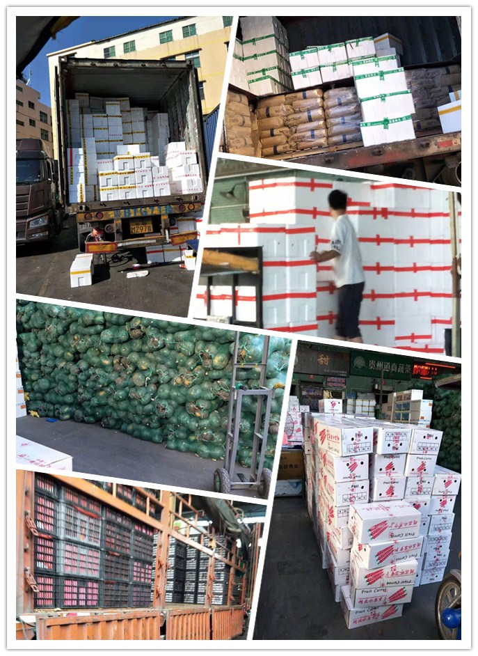 首页| 402cc永利集团中国区官方网站