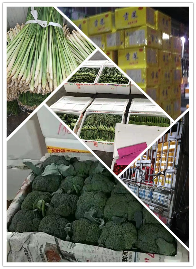 首页| 402cc永利集团中国区官方网站