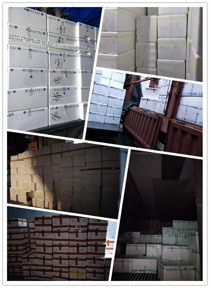 首页| 402cc永利集团中国区官方网站