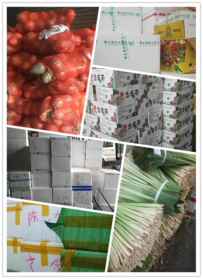 首页| 402cc永利集团中国区官方网站