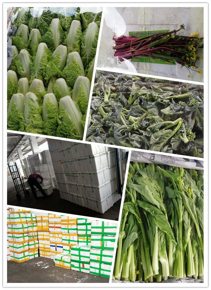 首页| 402cc永利集团中国区官方网站