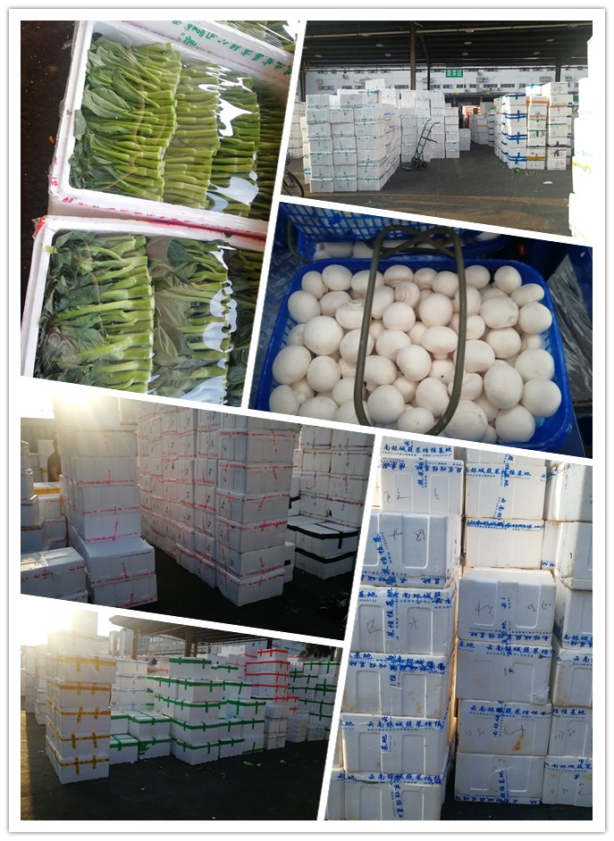 首页| 402cc永利集团中国区官方网站