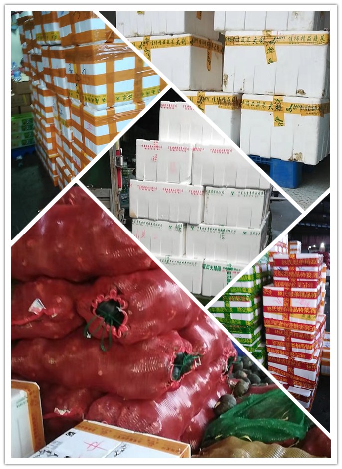 首页| 402cc永利集团中国区官方网站