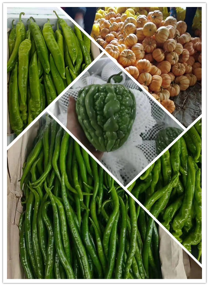 首页| 402cc永利集团中国区官方网站