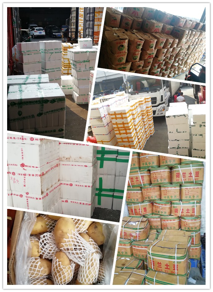 首页| 402cc永利集团中国区官方网站