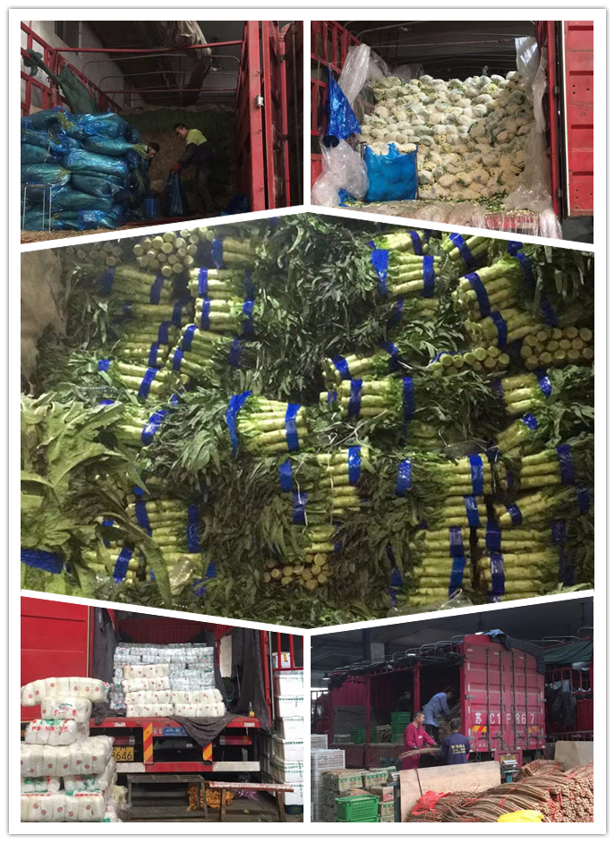 首页| 402cc永利集团中国区官方网站