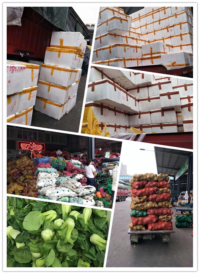 首页| 402cc永利集团中国区官方网站