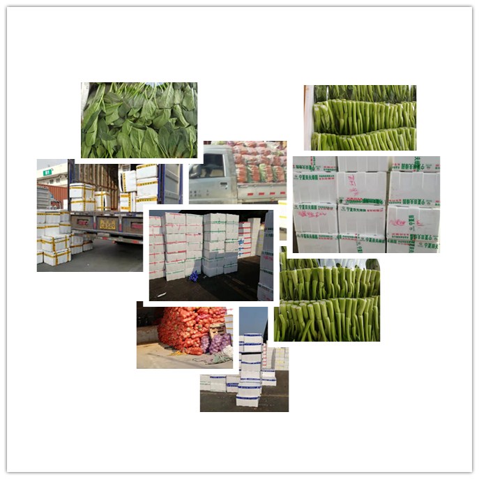 首页| 402cc永利集团中国区官方网站