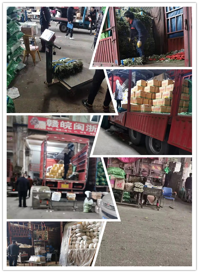 首页| 402cc永利集团中国区官方网站