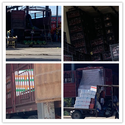 首页| 402cc永利集团中国区官方网站