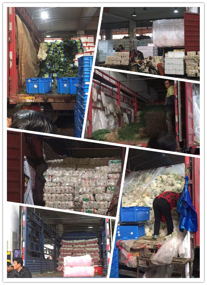 首页| 402cc永利集团中国区官方网站