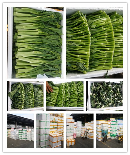 首页| 402cc永利集团中国区官方网站