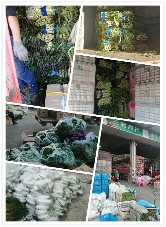 首页| 402cc永利集团中国区官方网站