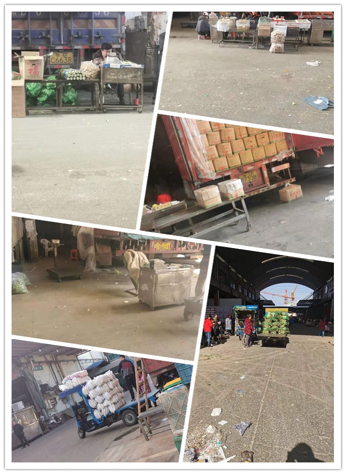 首页| 402cc永利集团中国区官方网站