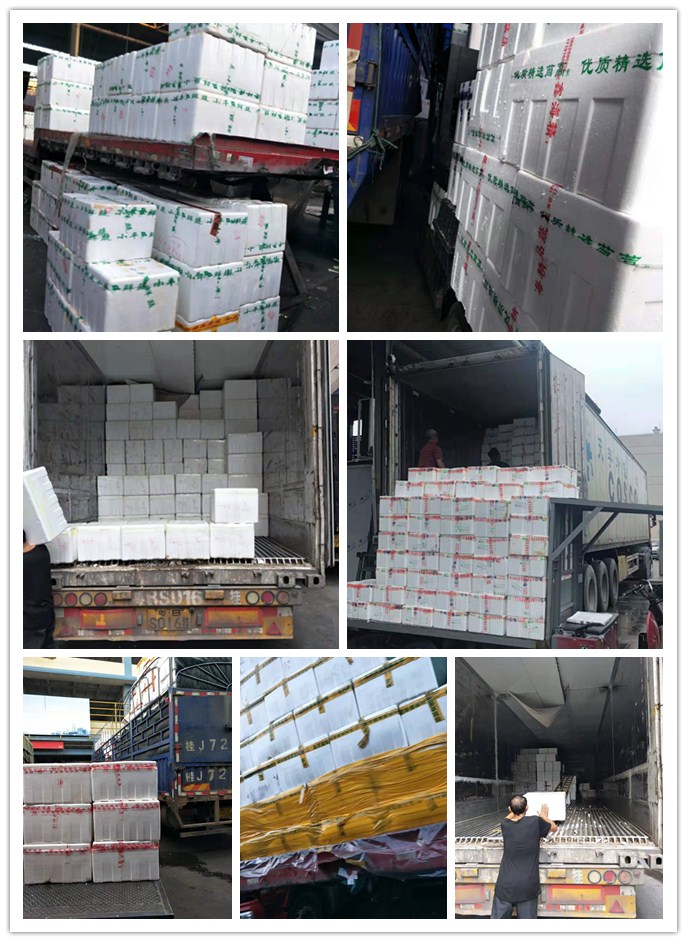 首页| 402cc永利集团中国区官方网站