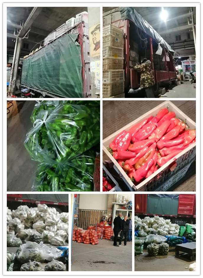 首页| 402cc永利集团中国区官方网站