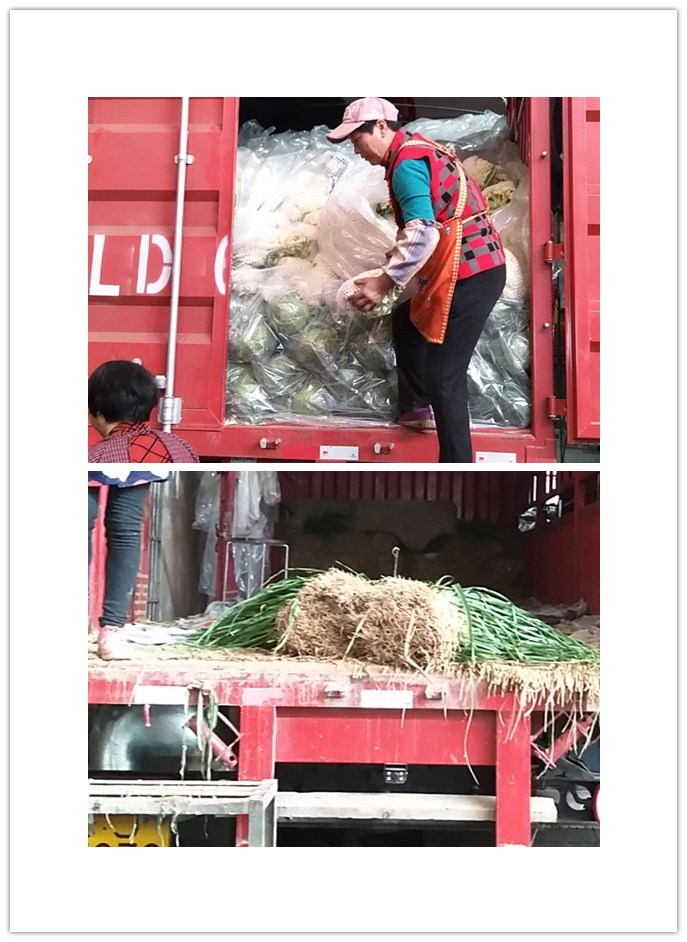 首页| 402cc永利集团中国区官方网站