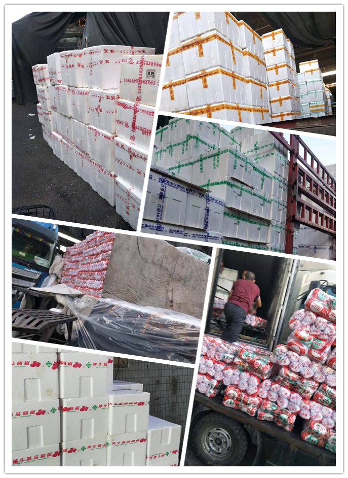 首页| 402cc永利集团中国区官方网站