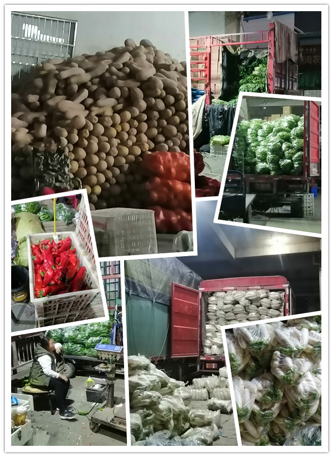 首页| 402cc永利集团中国区官方网站